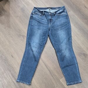 Judy Blue Medium Blue Skinny Jeans